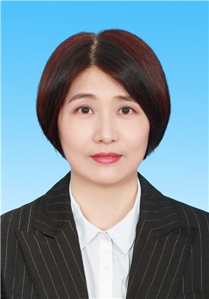 ������Ƭ