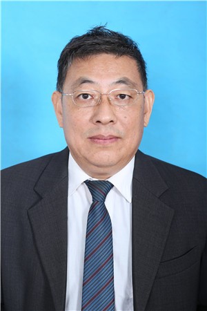 ������Ƭ